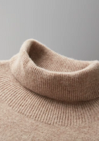 Pure Extra-Fine Merino Wool Classic Rollneck